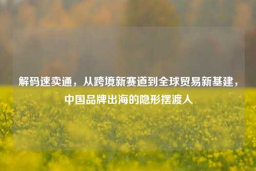 解码速卖通，从跨境新赛道到全球贸易新基建，中国品牌出海的隐形摆渡人