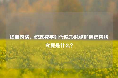 蜂窝网络,织就数字时代隐形脉络的通信网络究竟是什么?