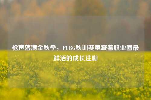 枪声落满金秋季,PUBG秋训赛里藏着职业圈最鲜活的成长注脚