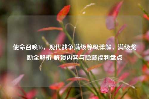 使命召唤16，现代战争满级等级详解，满级奖励全解析 解锁内容与隐藏福利盘点