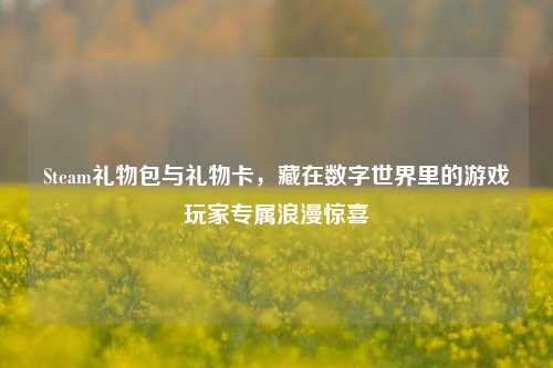 Steam礼物包与礼物卡,藏在数字世界里的游戏玩家专属浪漫惊喜