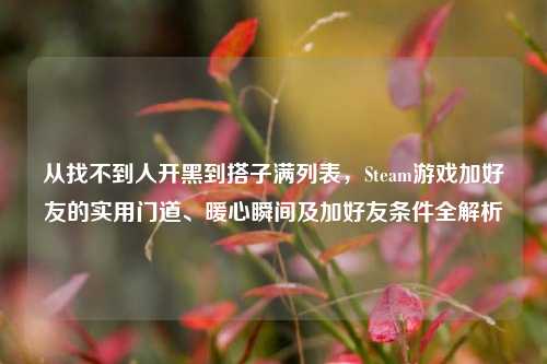 从找不到人开黑到搭子满列表,Steam游戏加好友的实用门道、暖心瞬间及加好友条件全解析