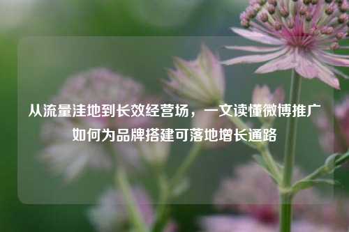 从流量洼地到长效经营场，一文读懂微博推广如何为品牌搭建可落地增长通路