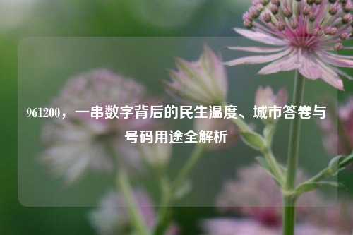 961200,一串数字背后的民生温度、城市答卷与号码用途全解析