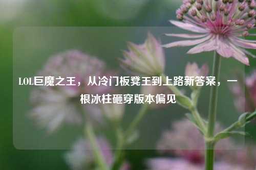 LOL巨魔之王，从冷门板凳王到上路新答案，一根冰柱砸穿版本偏见