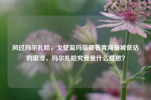风过玛尔扎哈，戈壁蓝玛瑙藏着青海最被低估的浪漫，玛尔扎哈究竟是什么意思？