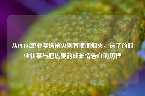 从PUBG职业赛场枪火到直播间烟火,沫子的职业往事与把热爱熬成长情告白的历程