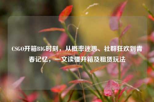 CSGO开箱BIG时刻,从概率迷思、社群狂欢到青春记忆,一文读懂开箱及租赁玩法