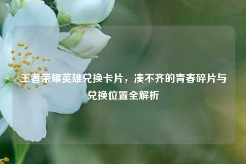 王者荣耀英雄兑换卡片,凑不齐的青春碎片与兑换位置全解析
