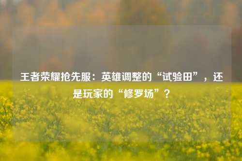 王者荣耀抢先服：英雄调整的“试验田”，还是玩家的“修罗场”？