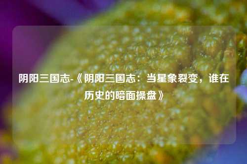 阴阳三国志-《阴阳三国志：当星象裂变，谁在历史的暗面操盘》