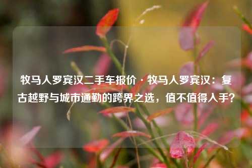 牧马人罗宾汉二手车报价·牧马人罗宾汉：复古越野与城市通勤的跨界之选，值不值得入手？