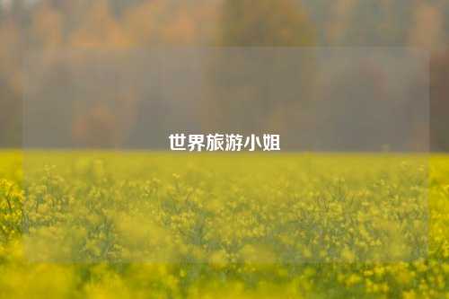 世界旅游小姐
