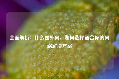 全面解析：什么是外网，如何选择适合你的网络解决方案