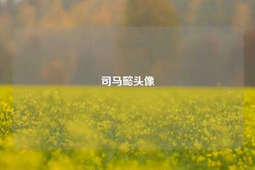 司马懿头像