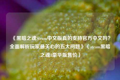 《黑暗之魂Steam中文版真的支持官方中文吗？全面解析玩家最关心的五大问题》（steam黑暗之魂3豪华版售价）