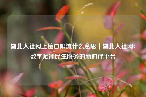 湖北人社网上接口限流什么意思｜湖北人社网：数字赋能民生服务的新时代平台