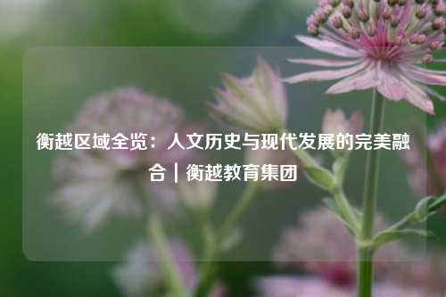 衡越区域全览:人文历史与现代发展的完美融合|衡越教育集团