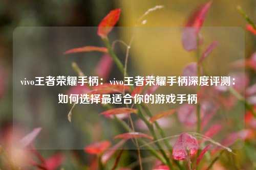 vivo王者荣耀手柄：vivo王者荣耀手柄深度评测：如何选择最适合你的游戏手柄