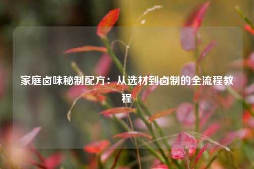 家庭卤味秘制配方：从选材到卤制的全流程教程