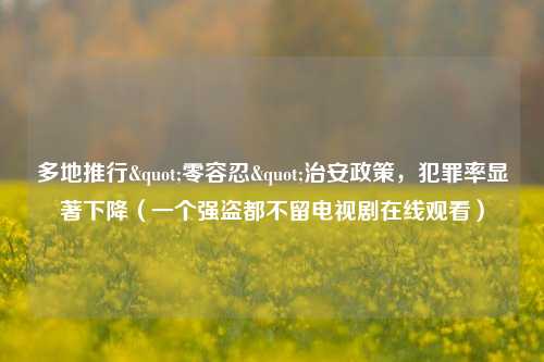 多地推行"零容忍"治安政策，犯罪率显著下降（一个强盗都不留电视剧在线观看）